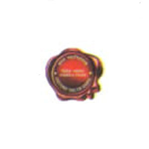 export-certificate-1