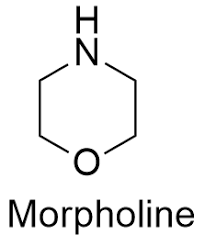 Morpholine